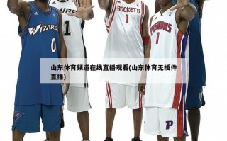 山东体育频道在线直播观看(山东体育无插件直播)