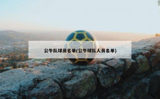 公牛队球员名单(公牛球队人员名单)