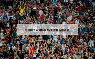 王哲林个人资料简介(王哲林百度百科)