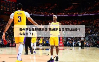贵州茅台足球俱乐部(贵州茅台足球队改成什么名字了)