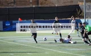 香港羽毛球公开赛(香港羽毛球公开赛今日对阵表)