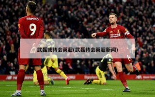 武磊或转会英超(武磊转会英超新闻)