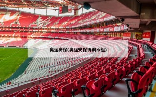 奥运安保(奥运安保协调小组)