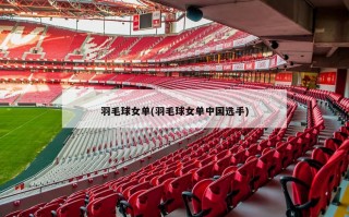 羽毛球女单(羽毛球女单中国选手)