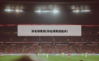 羽毛球男双(羽毛球男双组合)