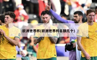 欧洲世界杯(欧洲世界杯名额几个)