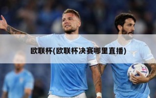 欧联杯(欧联杯决赛哪里直播)