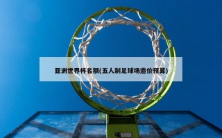 亚洲世界杯名额(五人制足球场造价预算)