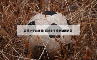 足球小子欧洲篇(足球小子欧洲篇国语版)
