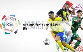 wilson网球(wilson网球官网中国)