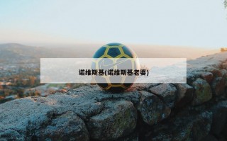 诺维斯基(诺维斯基老婆)