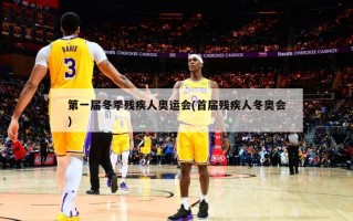第一届冬季残疾人奥运会(首届残疾人冬奥会)