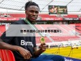 世界杯图片(2026世界杯图片)