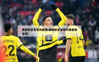 美国职业足球大联盟(美国职业足球大联盟排名榜)