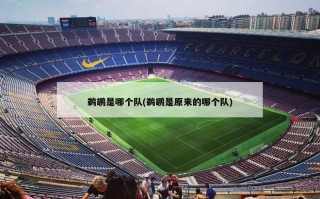 鹈鹕是哪个队(鹈鹕是原来的哪个队)