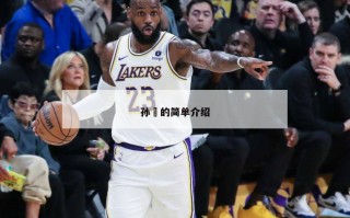 孙喆的简单介绍