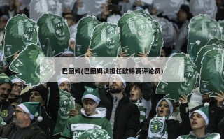 巴图姆(巴图姆谈担任欧锦赛评论员)