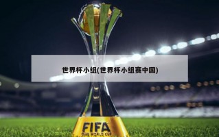 世界杯小组(世界杯小组赛中国)