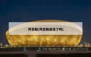 何忠勉(何忠勉退役了吗)