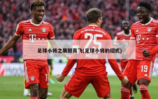 足球小将之展翅高飞(足球小将的招式)