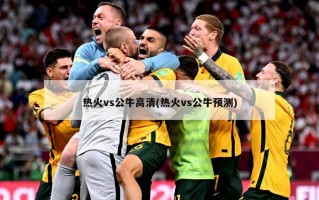 热火vs公牛高清(热火vs公牛预测)
