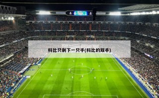 科比只剩下一只手(科比的双手)