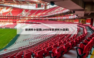 欧洲杯小组赛(2008年欧洲杯小组赛)