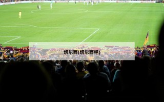 切尔西(切尔西吧)