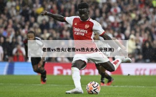 老鹰vs热火(老鹰vs热火大小分预测)