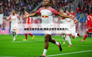 湖南卫视节目表(湖南卫视节目表周六)
