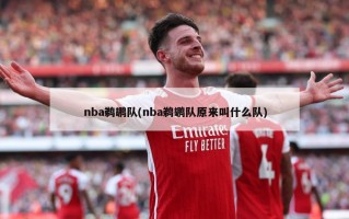 nba鹈鹕队(nba鹈鹕队原来叫什么队)