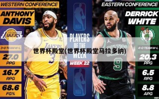 世界杯殿堂(世界杯殿堂马拉多纳)