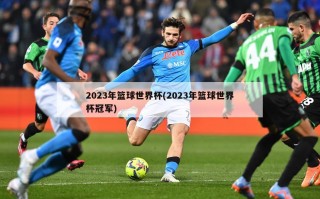 2023年篮球世界杯(2023年篮球世界杯冠军)