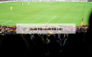 nba林书豪(nba林书豪小说)