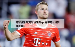 足球投注网(足球投注网app在哪可以找到好项目?)