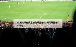 欧洲足球免费直播在线直播(欧洲足球直播cctv5)