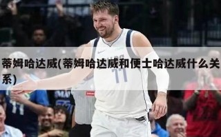 蒂姆哈达威(蒂姆哈达威和便士哈达威什么关系)