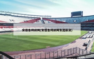 安德鲁拜纳姆(安德鲁拜纳姆生涯薪资)