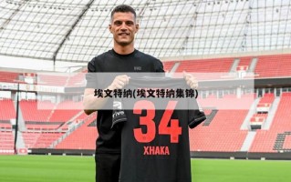 埃文特纳(埃文特纳集锦)