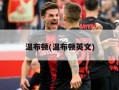温布顿(温布顿英文)