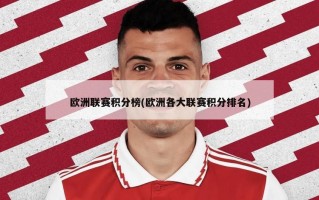 欧洲联赛积分榜(欧洲各大联赛积分排名)