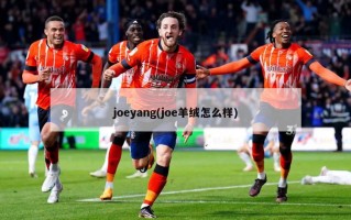 joeyang(joe羊绒怎么样)