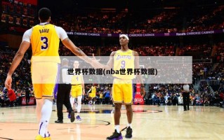 世界杯数据(nba世界杯数据)