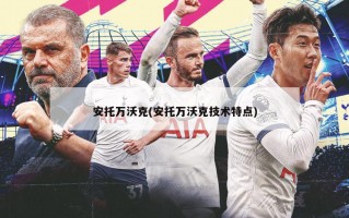 安托万沃克(安托万沃克技术特点)