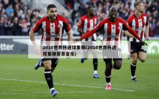 2010世界杯进球集锦(2010世界杯进球集锦背景音乐)