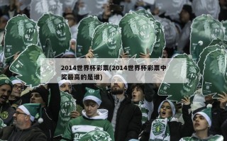 2014世界杯彩票(2014世界杯彩票中奖最高的是谁)