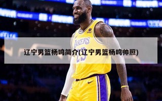 辽宁男篮杨鸣简介(辽宁男篮杨鸣帅照)