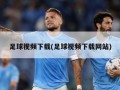 足球视频下载(足球视频下载网站)