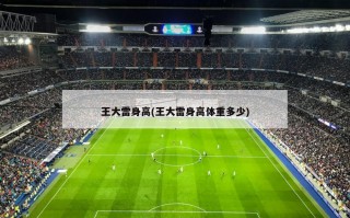 王大雷身高(王大雷身高体重多少)