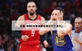 拉里-休斯(拉里休斯在骑士打了多久)